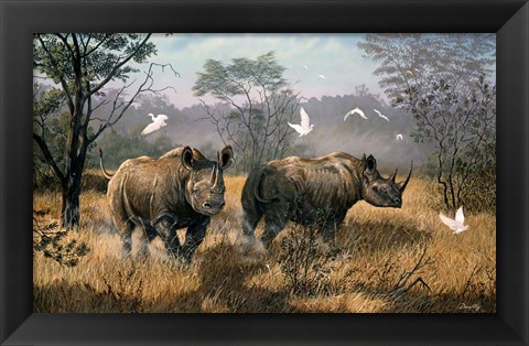 Framed Rhino Print