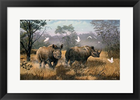 Framed Rhino Print