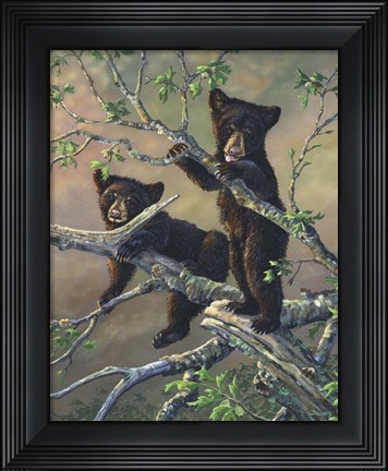 Framed Out On A Limb Print