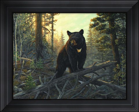 Framed Black Magic Print