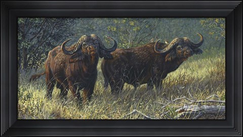 Framed Mbogo Challenge Print