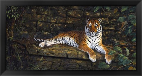 Framed Temple Tigress Print