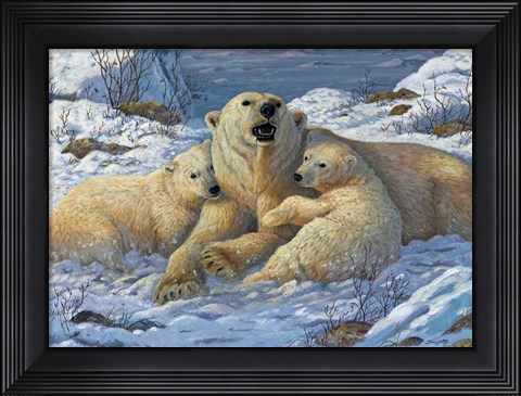 Framed Snow Bears Print