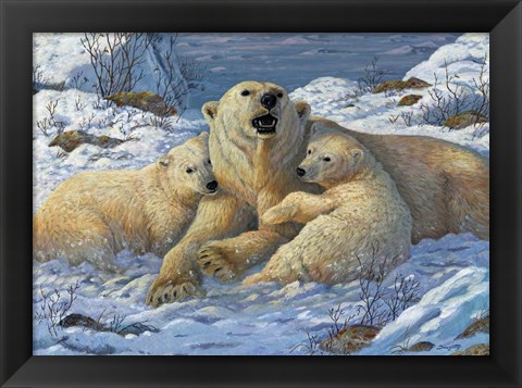 Framed Snow Bears Print