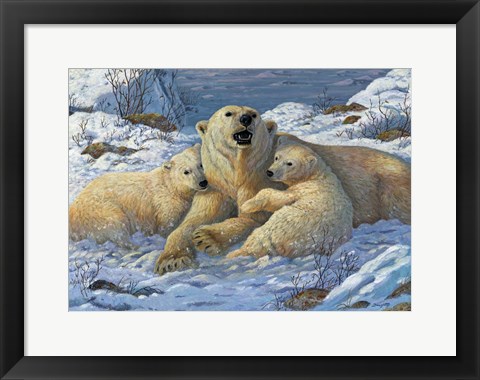 Framed Snow Bears Print