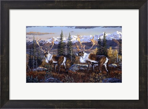 Framed Caribou Print
