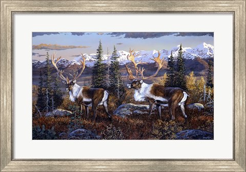 Framed Caribou Print