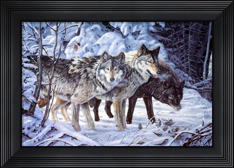 Framed Out Of The Shadows Print