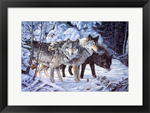 Framed Out Of The Shadows Print
