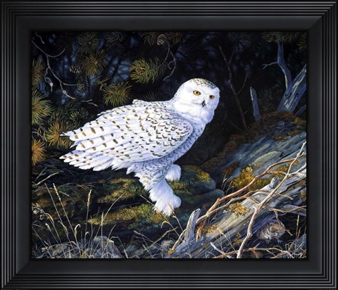Framed Where Did He Go Print