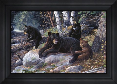 Framed Wisdom Of The Woods Print