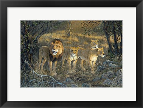 Framed Pride Of Africa Print