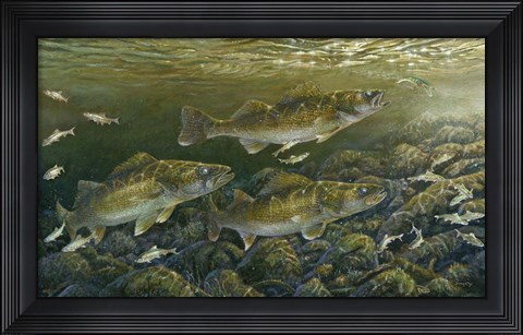 Framed Reef Runners Print