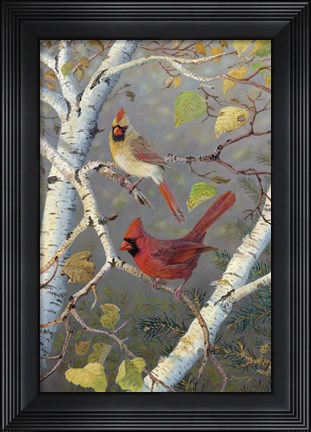 Framed Cardinals In Birch Print