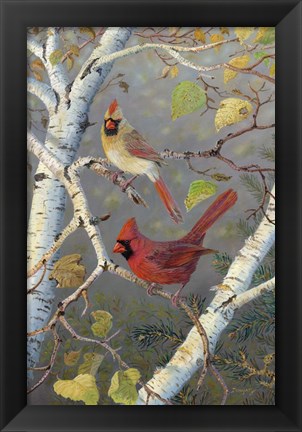 Framed Cardinals In Birch Print