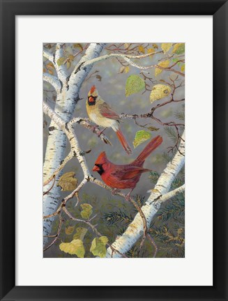 Framed Cardinals In Birch Print