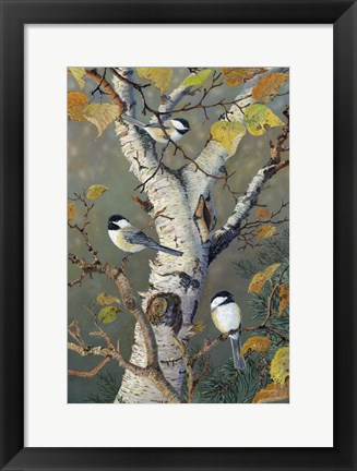 Framed Chickadees In Birch Print