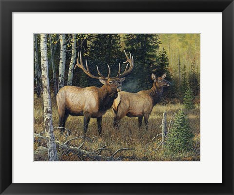 Framed Singing Wilderness Print