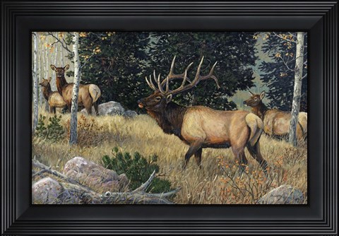 Framed Slipping Into The Timber Print