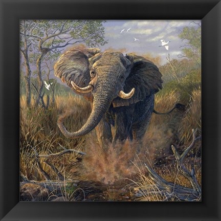 Framed Angry Tusker Print