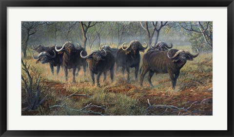 Framed Cape Buffalo Print