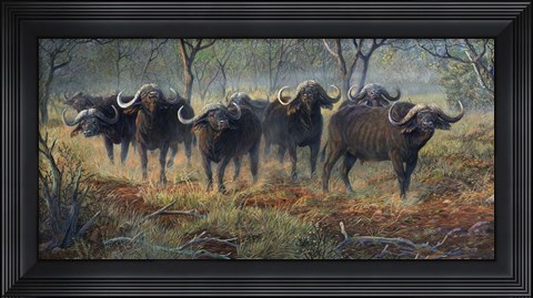 Framed Cape Buffalo Print