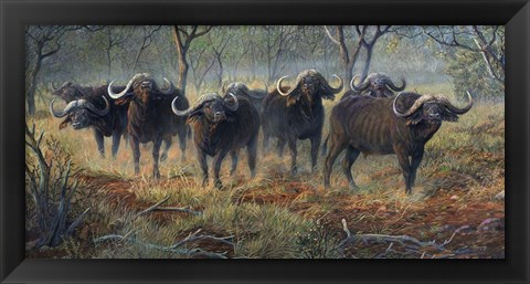 Framed Cape Buffalo Print