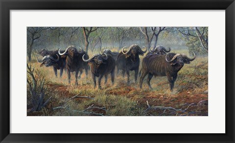 Framed Cape Buffalo Print