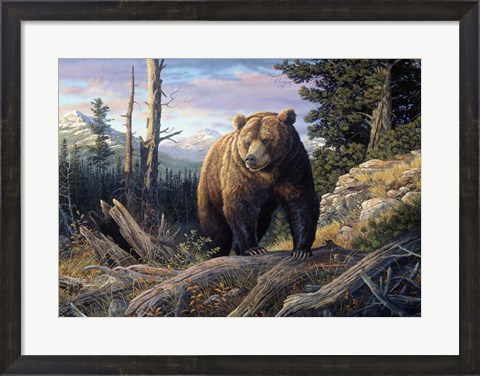 Framed Mountain Winds Grizzly Print
