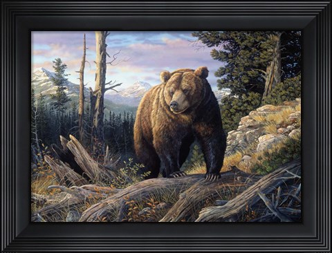 Framed Mountain Winds Grizzly Print
