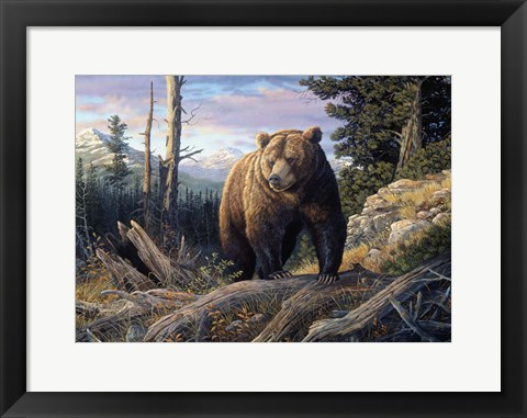 Framed Mountain Winds Grizzly Print