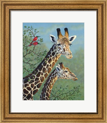 Framed Tree Toppers Print