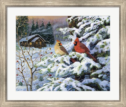 Framed Winters Warm Glow Cardinals Print