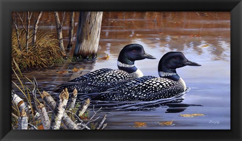 Framed Beaver Pond Loons Print