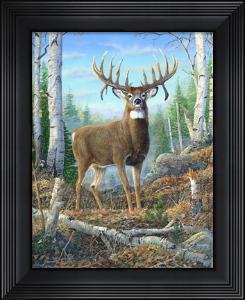Framed Dream Buck Print