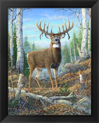 Framed Dream Buck Print