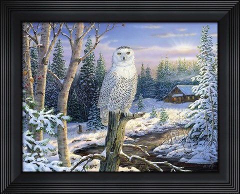 Framed Whispering Ridge Snowy Owl Print