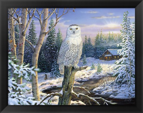 Framed Whispering Ridge Snowy Owl Print