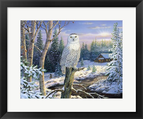 Framed Whispering Ridge Snowy Owl Print