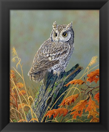 Framed Bright Eyes Screech Owl Print