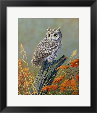 Framed Bright Eyes Screech Owl Print