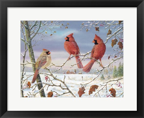 Framed First Snow Cardinals Print