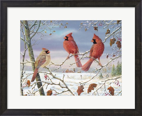 Framed First Snow Cardinals Print