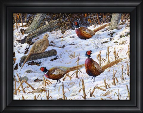 Framed Ringneck Rendezvous Print