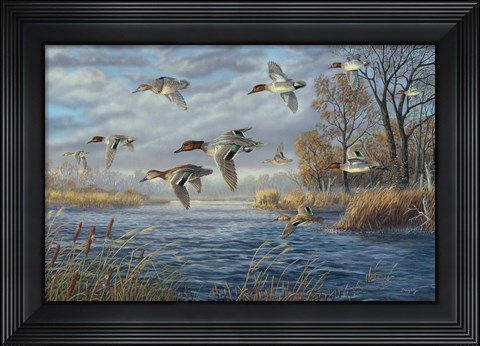 Framed Sancutary Bay Print