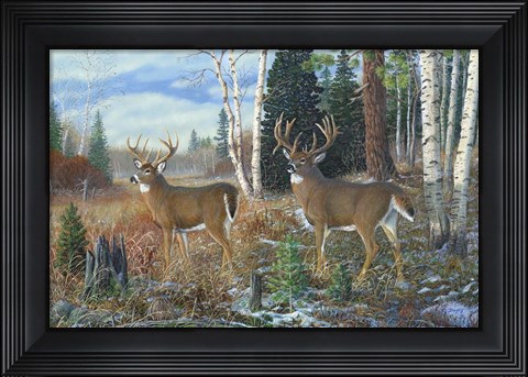 Framed Tall Timber Bucks Print