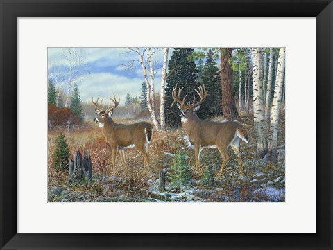 Framed Tall Timber Bucks Print