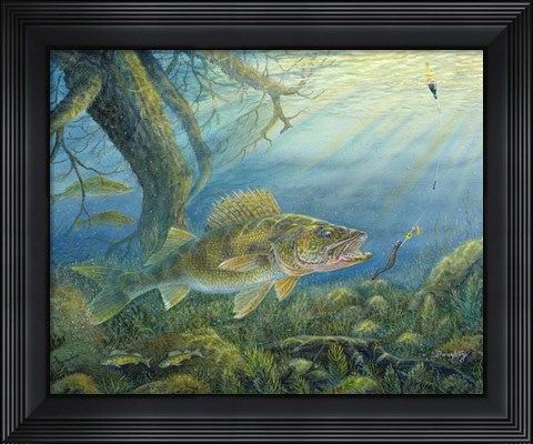 Framed Walleye Print