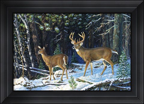 Framed Deep Woods Echoes Print
