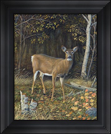 Framed Sweet Recollections Ii Print